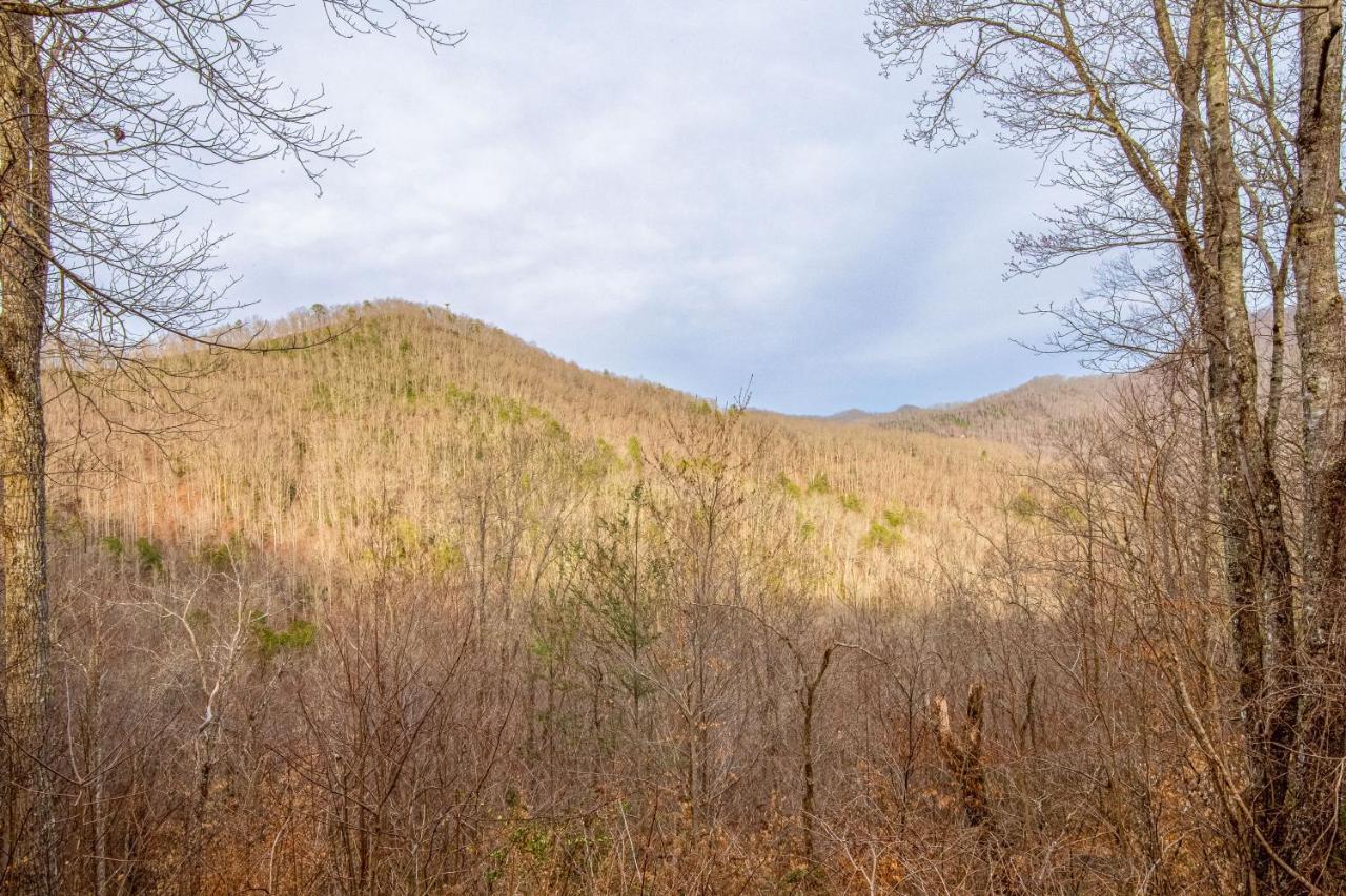 Tree Top Cabin Sylva Bagian luar foto
